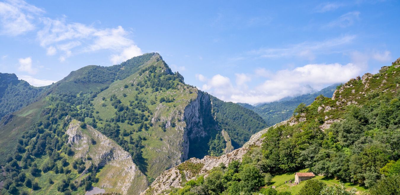 Parque natural Ponga