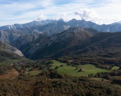 PN Ponga