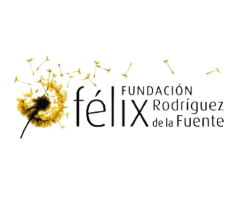 FFRDF logo